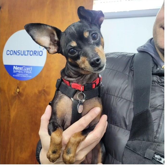 Paciente canino en brazos de su familia, al terminar la consulta